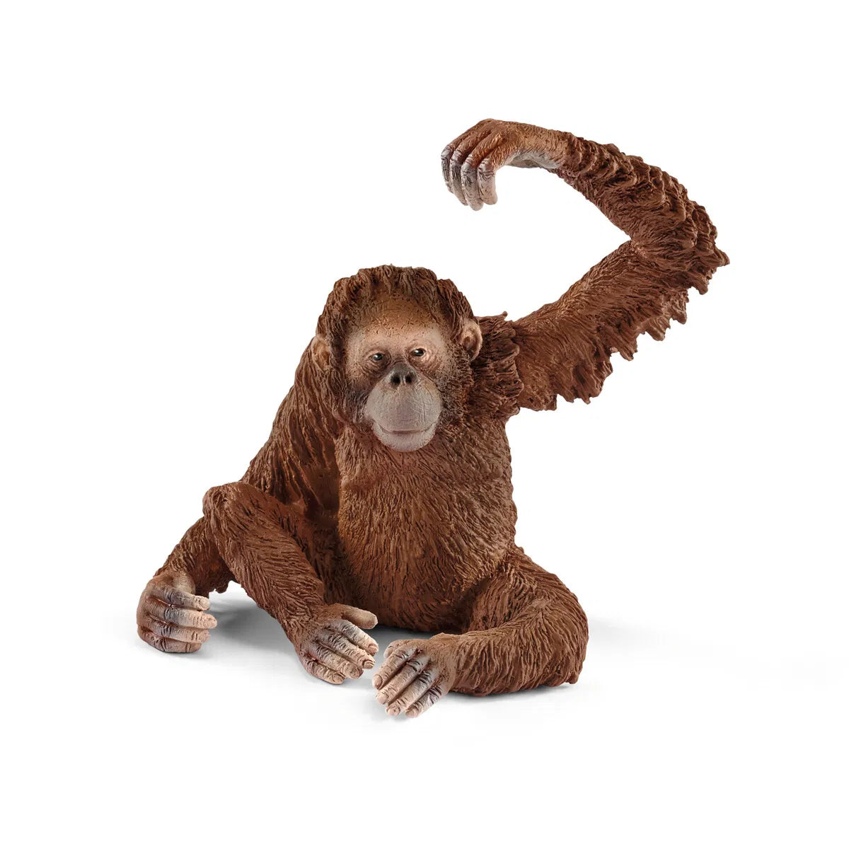 Schleich - Orangutan, female