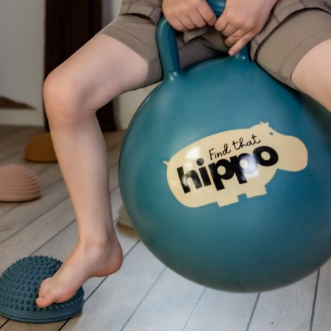 Find That Hippo Hoppebold – Dark Cyan