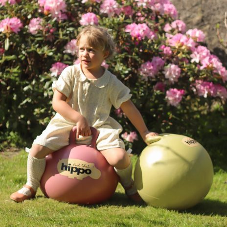 Find That Hippo Hoppebold – Turkish Rose