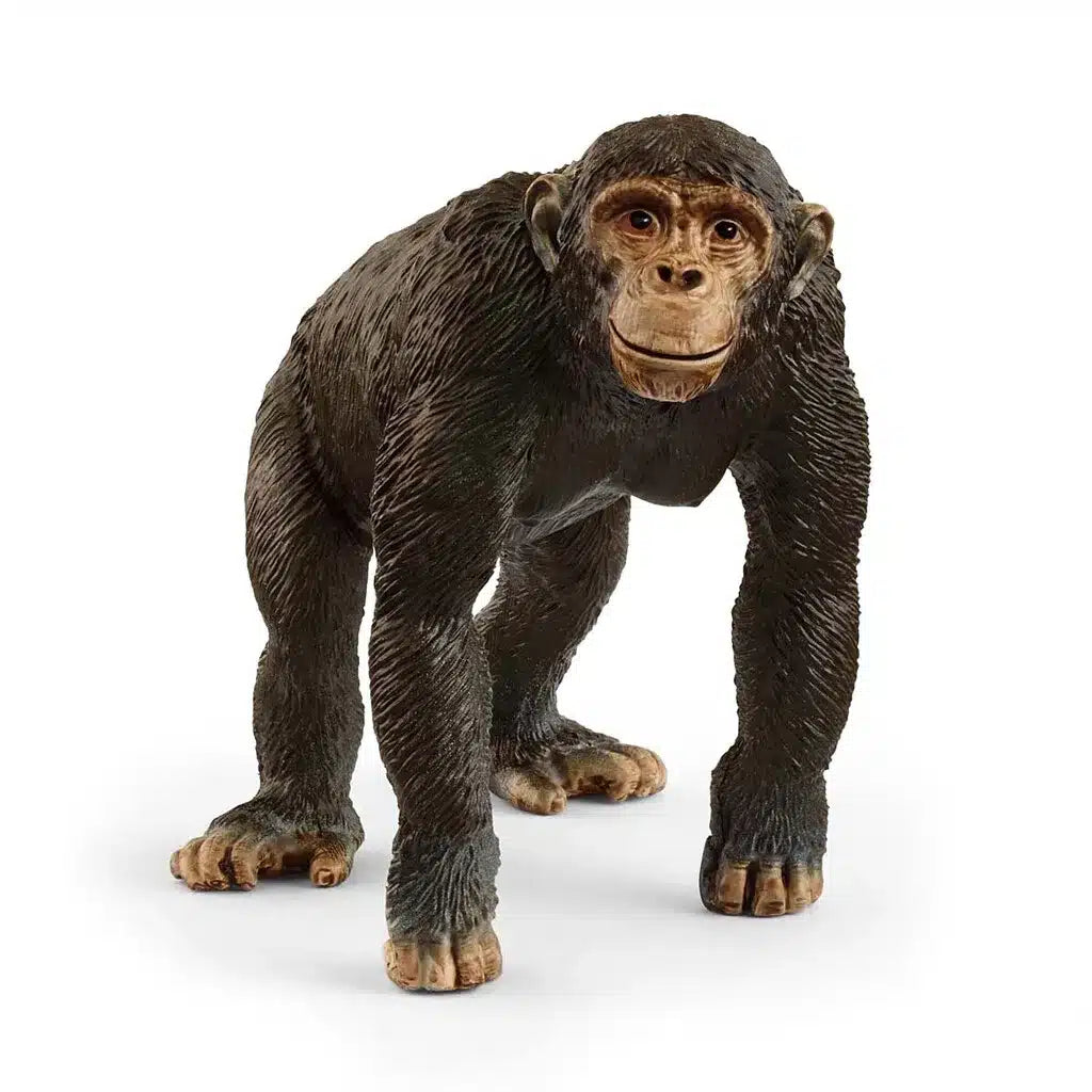 Schleich Chimpanse – Realistisk Dyrefigur