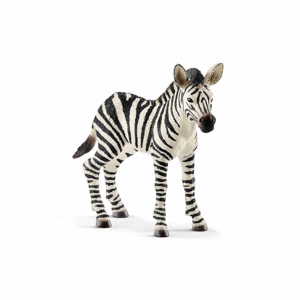 Schleich - Zebra foal