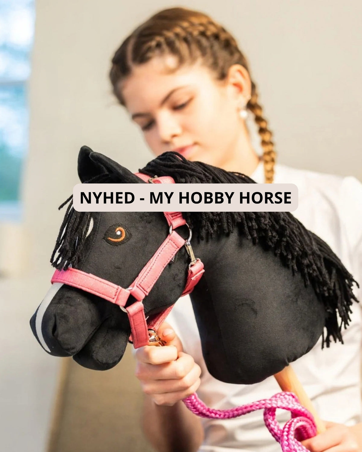 My Hobby Horse