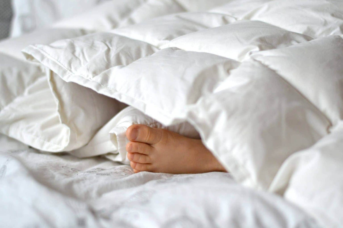 Filibabba - Babydyne - Kapok