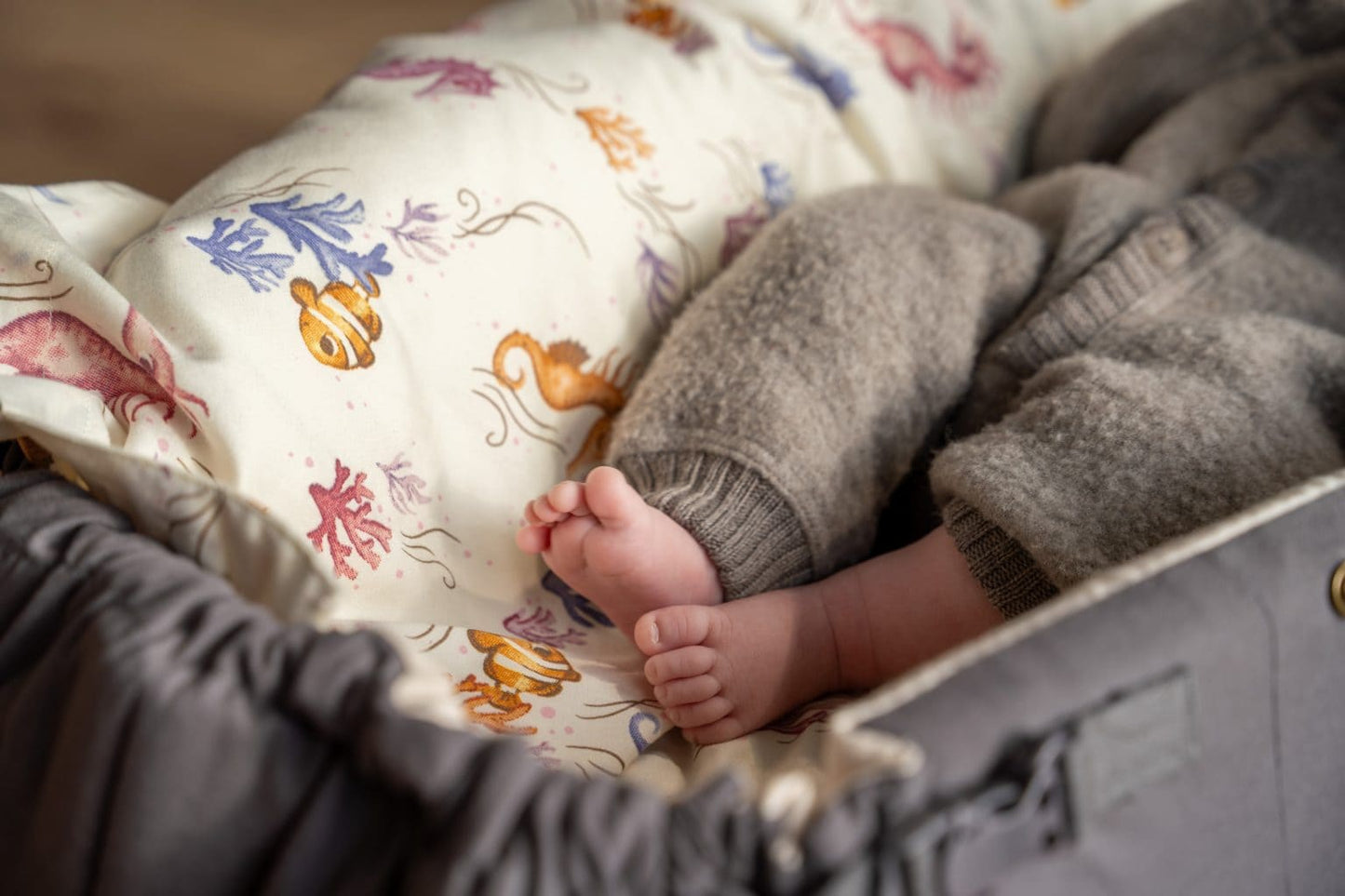 Filibabba - Babysengetøj GOTS - Rainbow Reef