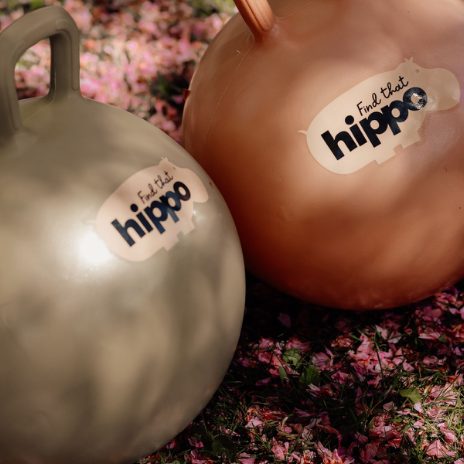 Find That Hippo Hoppebold – Old Gold