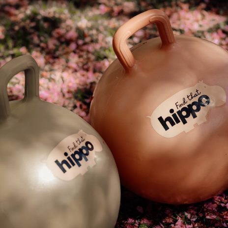 Find That Hippo Hoppebold – Persian Orange