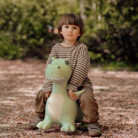 Find That Hippo Hoppedyr Dexter – Dinosaur