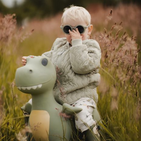 Find That Hippo Hoppedyr Dexter – Dinosaur