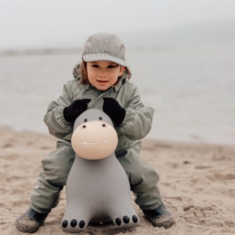 Find That Hippo Hoppedyr Holger – Flodhest