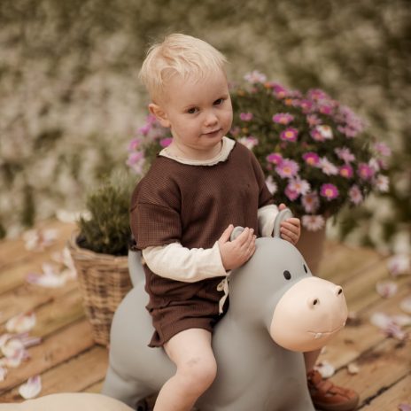 Find That Hippo Hoppedyr Holger – Flodhest