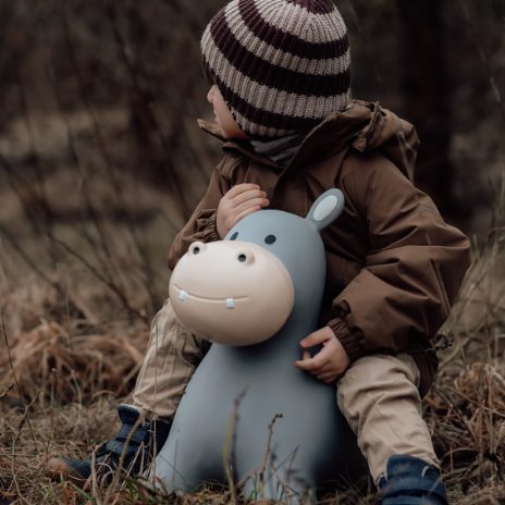 Find That Hippo Hoppedyr Holger – Flodhest
