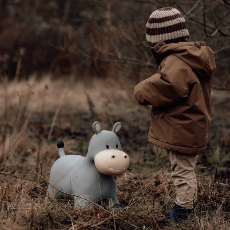 Find That Hippo Hoppedyr Holger – Flodhest