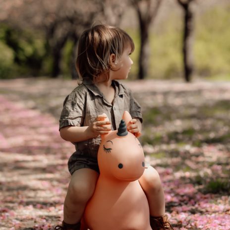 Find That Hippo Hoppedyr Luna – Enhjørning