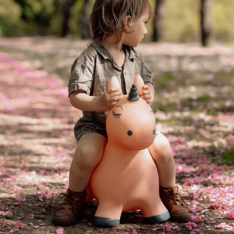 Find That Hippo Hoppedyr Luna – Enhjørning