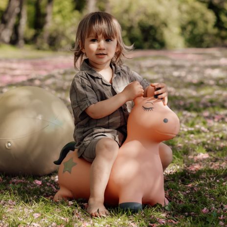 Find That Hippo Hoppedyr Luna – Enhjørning