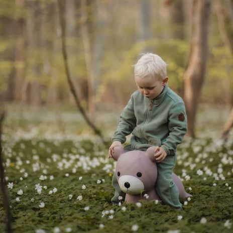 Find That Hippo Hoppedyr Maya – Bjørn