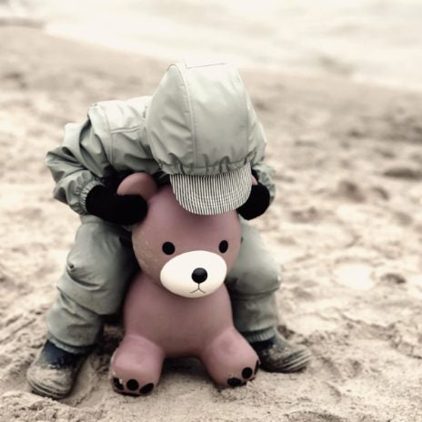 Find That Hippo Hoppedyr Maya – Bjørn