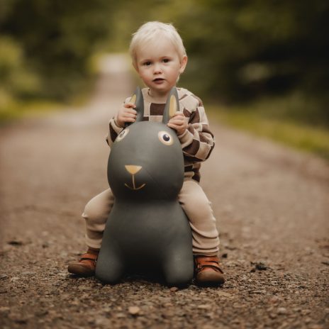 Find That Hippo Hoppedyr Thumper – Kanin