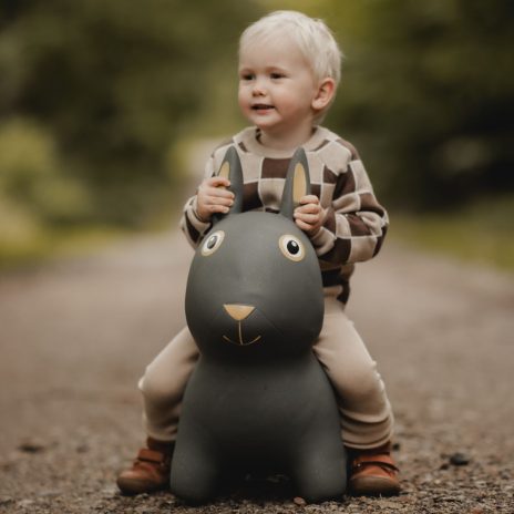 Find That Hippo Hoppedyr Thumper – Kanin