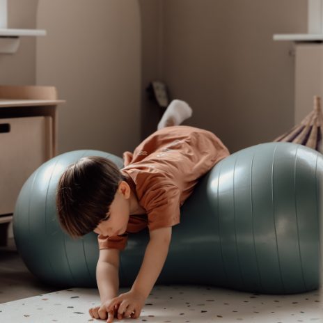 Find That Hippo Peanut balancebold – Morning Blue