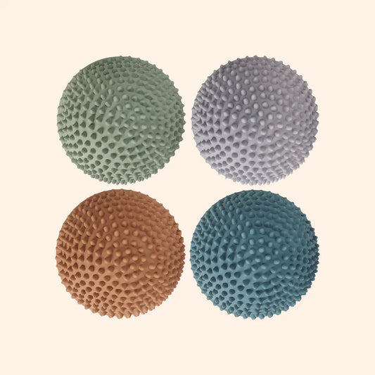 Find that hippo - Sansesten – solnedgang