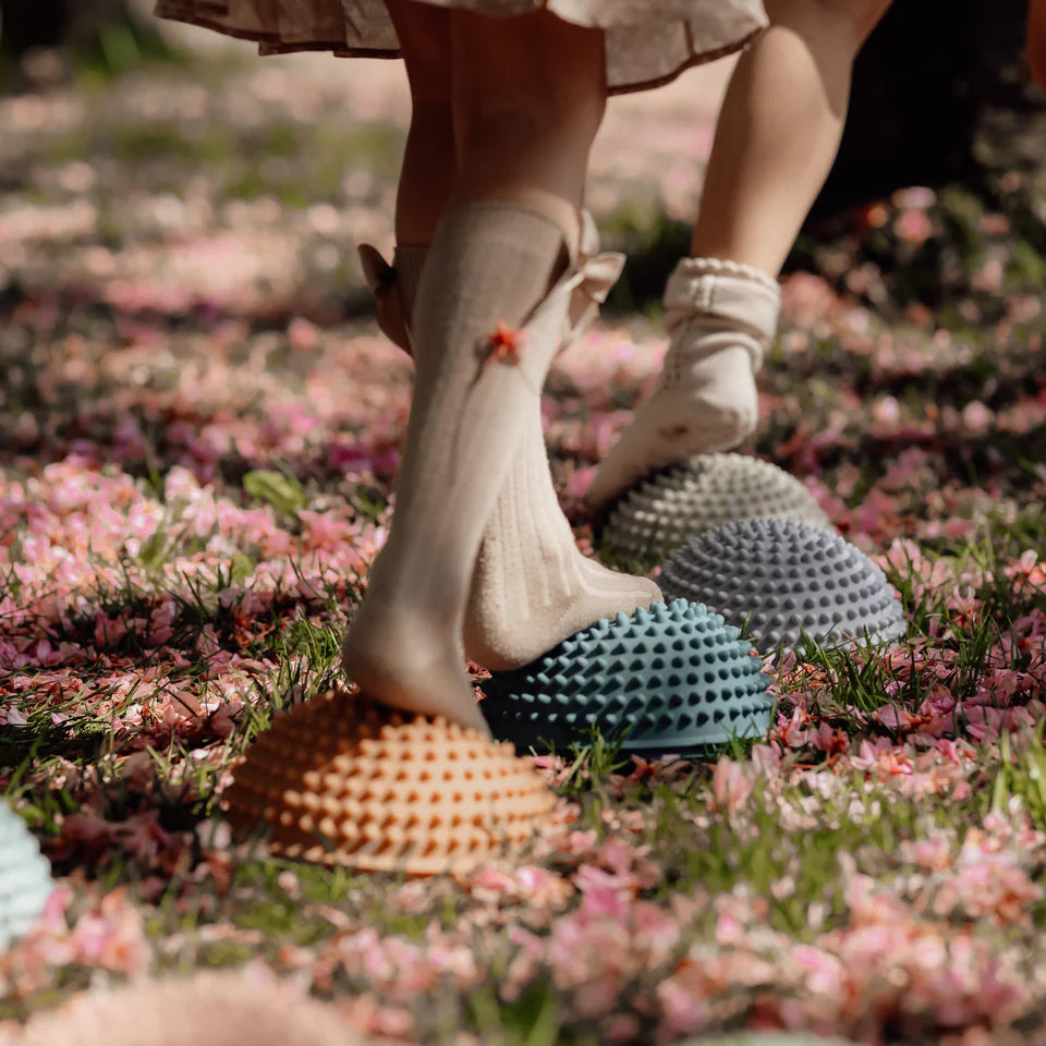 Find that hippo - Sansesten – solnedgang