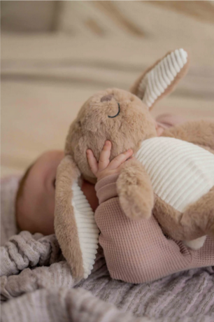 Flow Amsterdam – Milo Genopladelig Hjertelydsbamse (Brun)