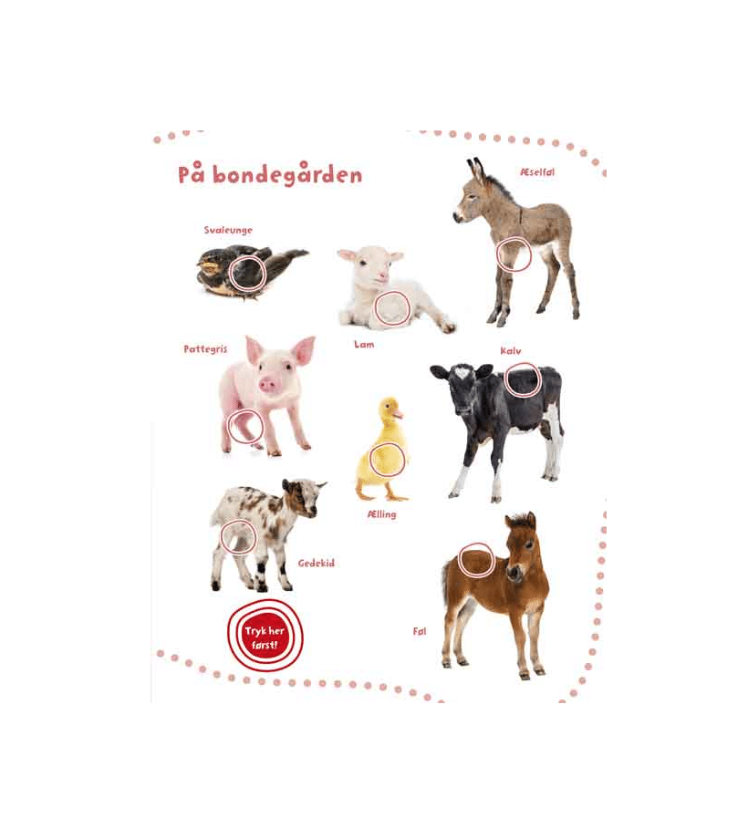 Min store lydbog med dyreunger