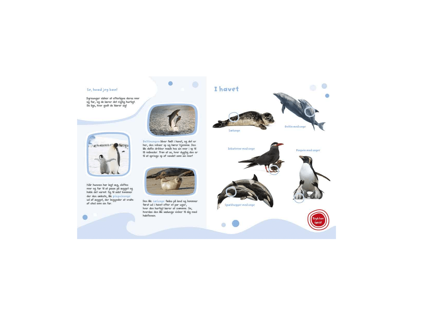 Min store lydbog med dyreunger