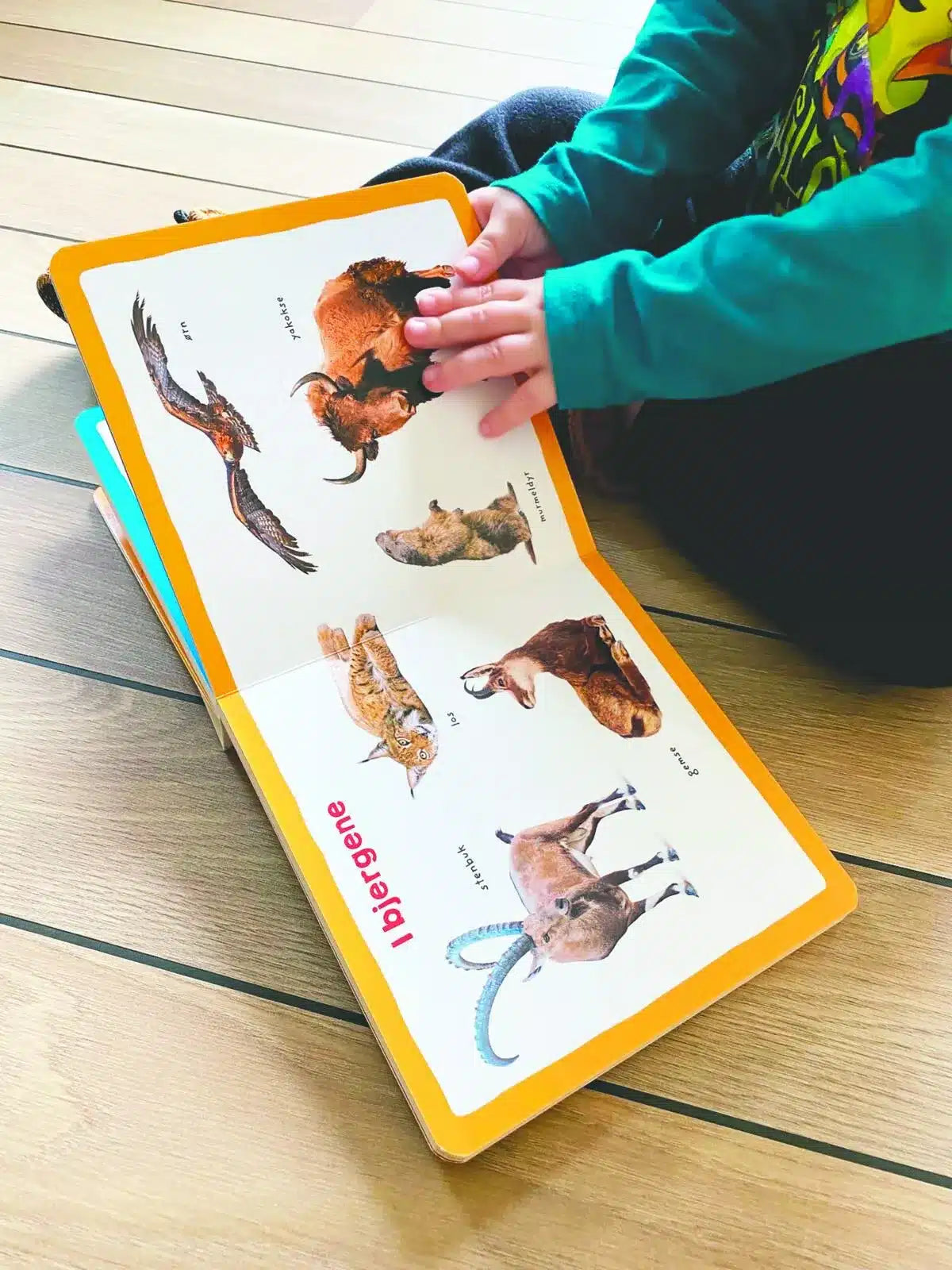 Mine foerste 100 dyr