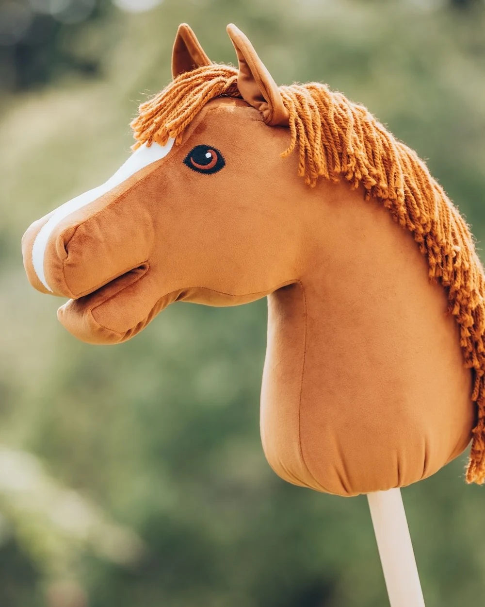 My Hobby Horse - Kæphest Caristo – brun med brun manke