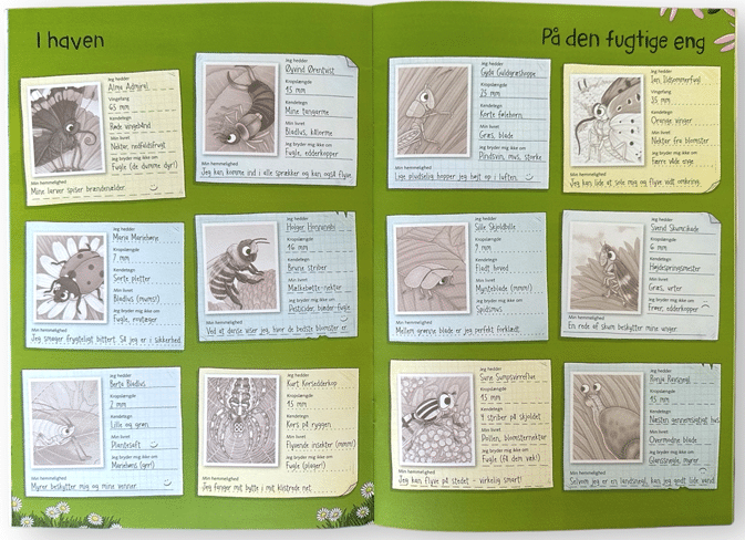 Naturens verden – med klistermærker – Insekter og andre smådyr