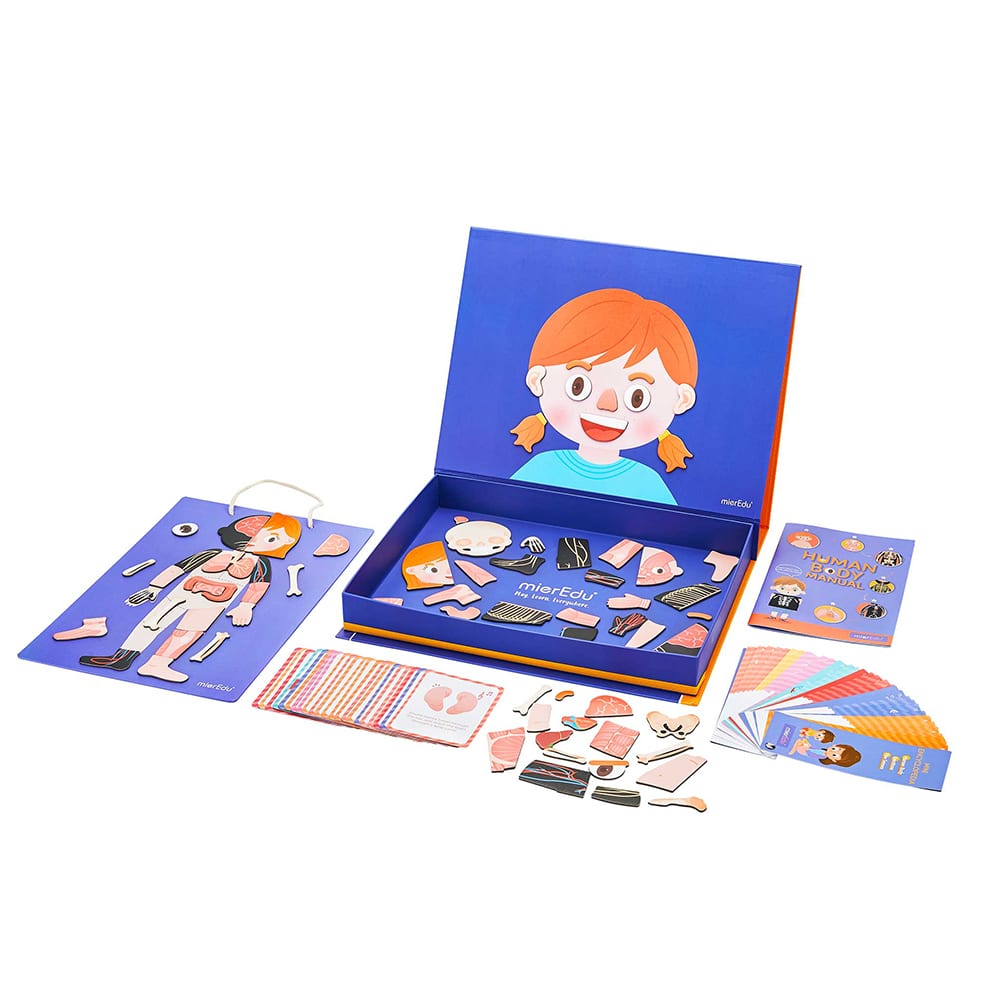 mierEdu - Magnetisk legesæt - All About Body and Emotion (engelsk)