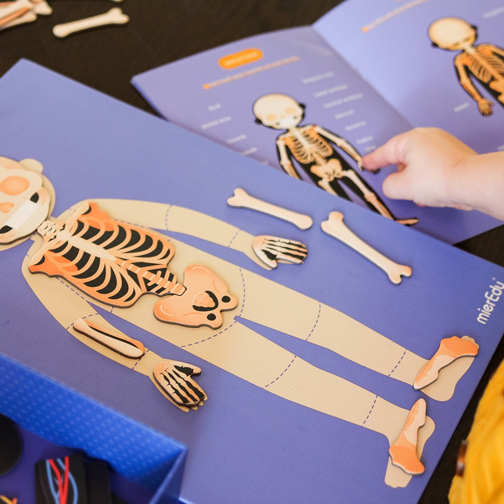 mierEdu - Magnetisk legesæt - All About Body and Emotion (engelsk)