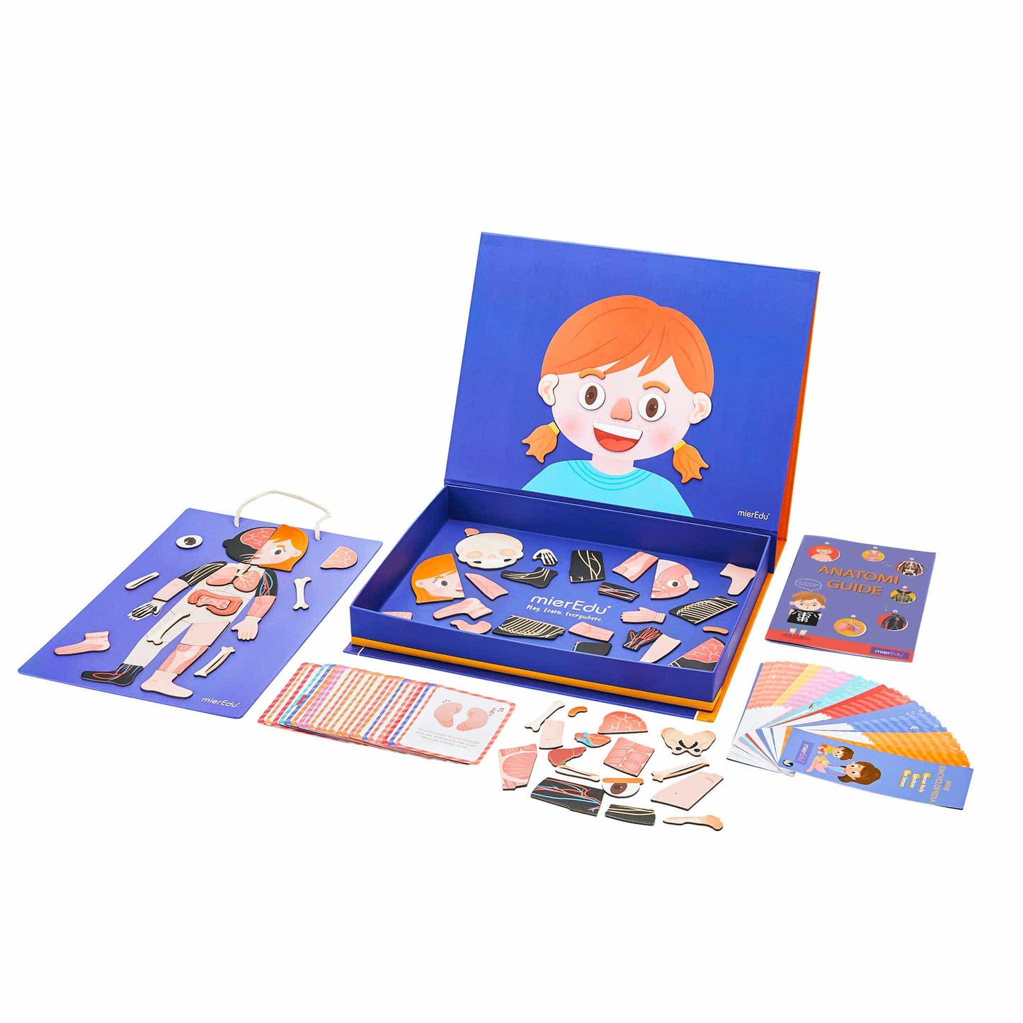 mierEdu - Magnetisk legesæt - Lær om kroppens funktioner