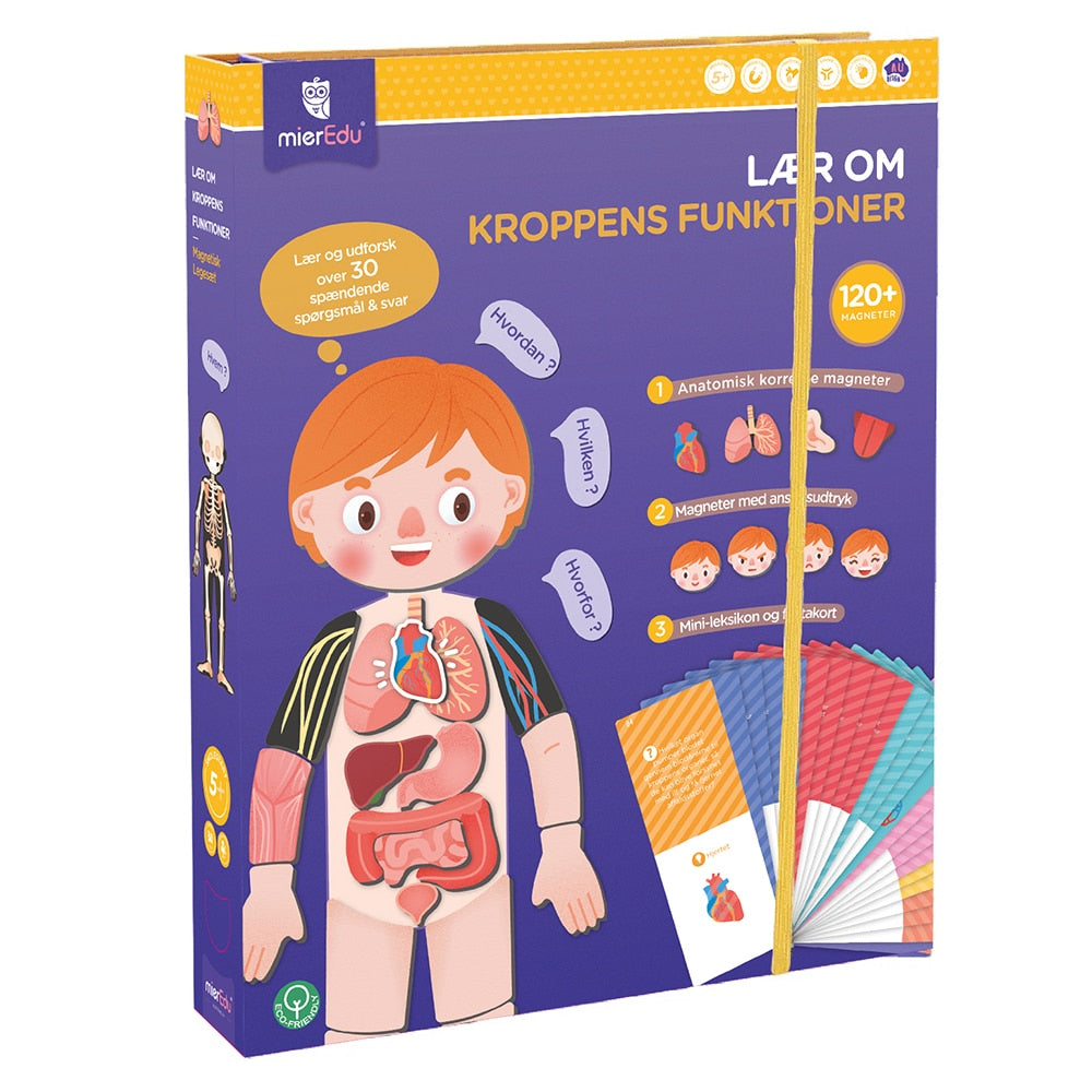 mierEdu - Magnetisk legesæt - Lær om kroppens funktioner