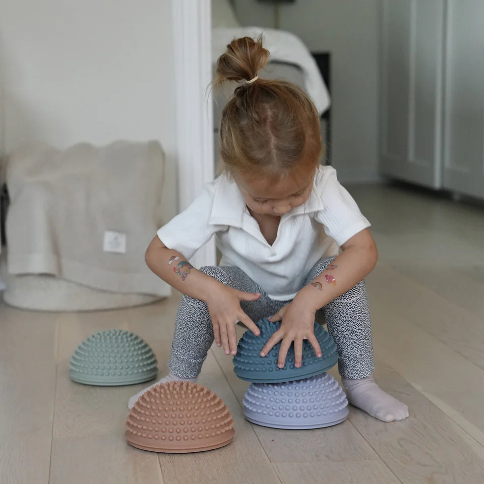 Find that hippo - Sansesten – solnedgang