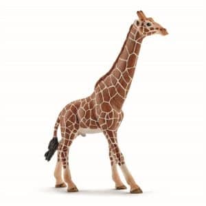 Schleich Giraffe male