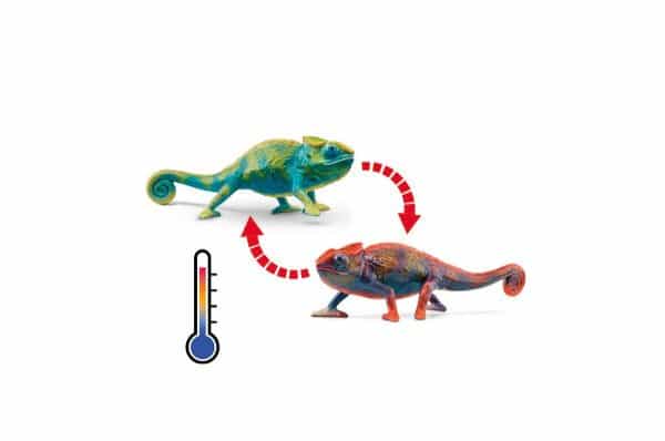 Schleich Chameleon 2